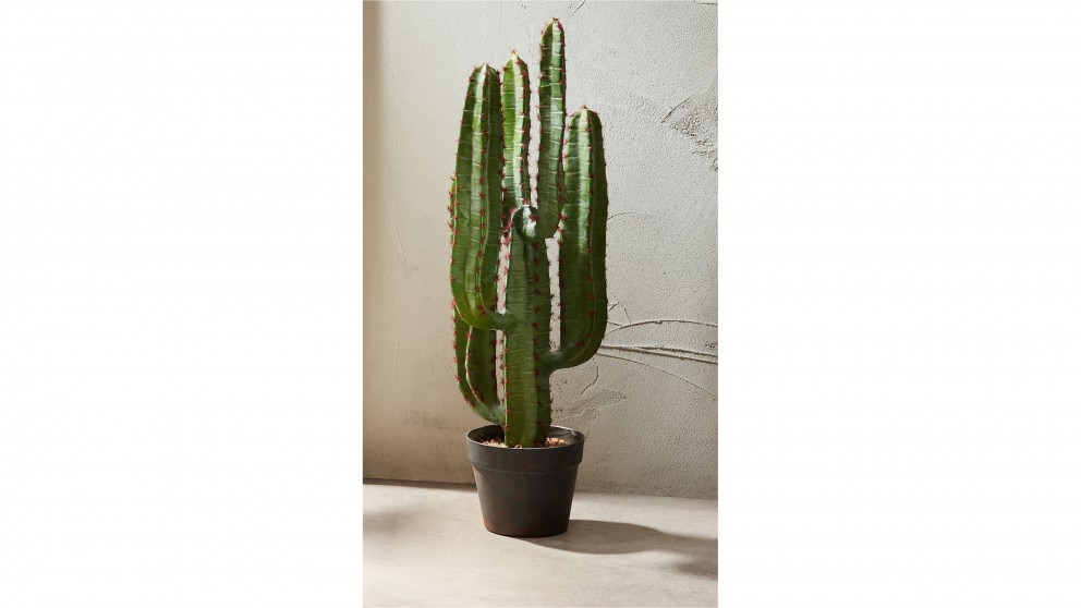 Namibia Cactus Large